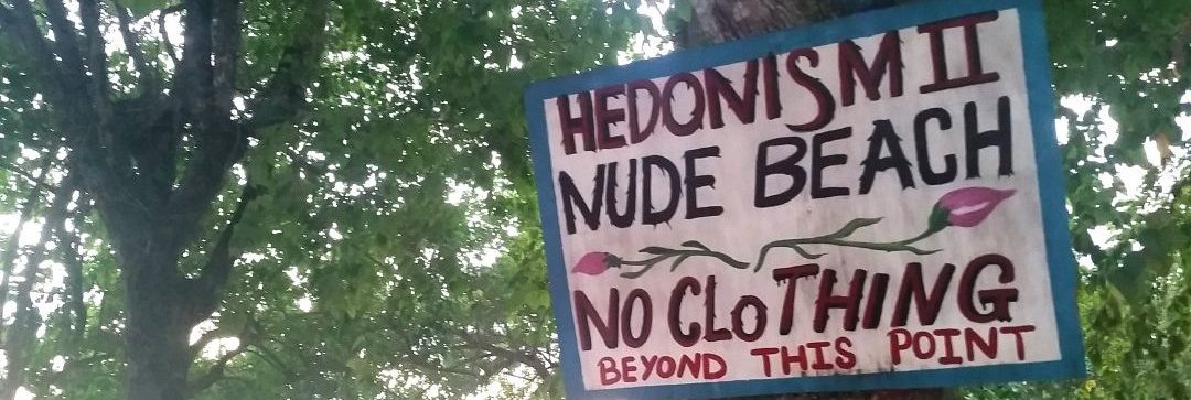 Tales from Hedonism II 